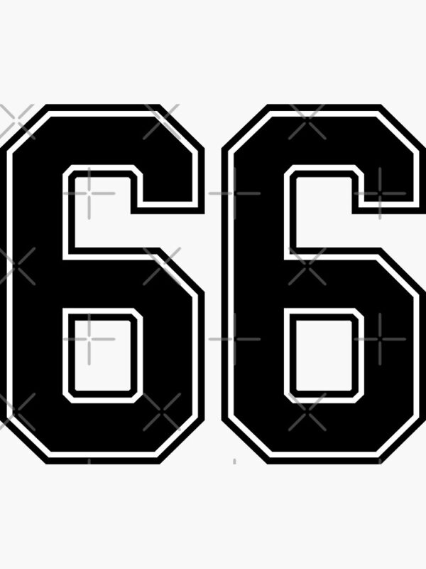 Sixty Six 66